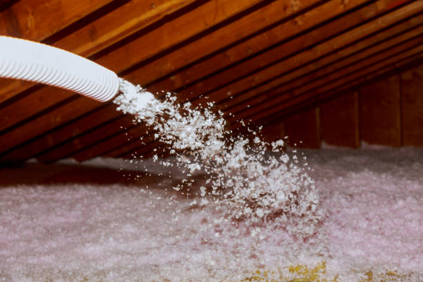 Best Cellulose Insulation in Mishawaka, IN